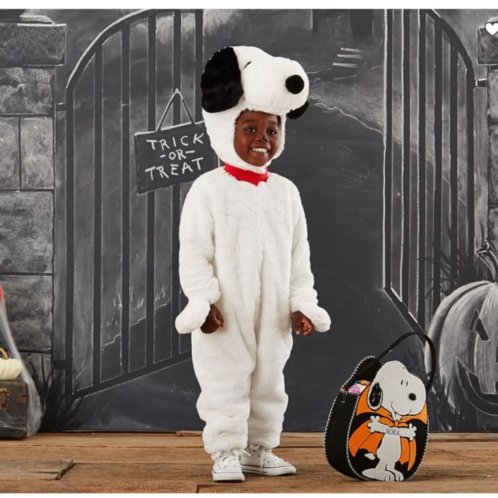 NWT Pottery Barn Kids Snoopy Costume 3T